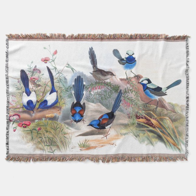 Couverture La faune bleue d'oiseaux de roitelet fleurit le (Devant)
