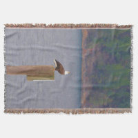 L'aigle à tête blanche appelle d'un poste près d'u