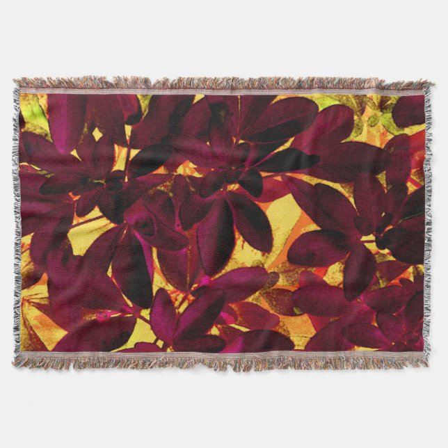 Couverture Lancer Choisya automne (Devant)