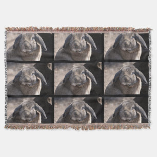 Couverture Lapin à oreilles de Lop