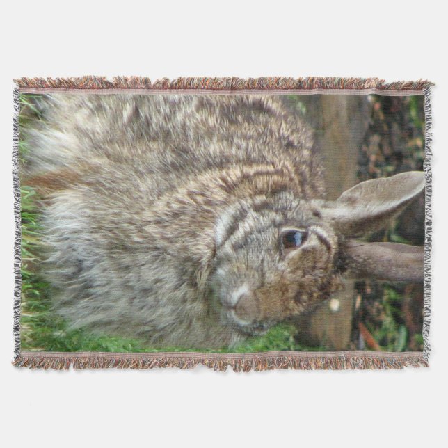 Couverture Lapin doux sauvage (Devant)
