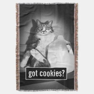 Couverture Le Lait De Chat De Juge