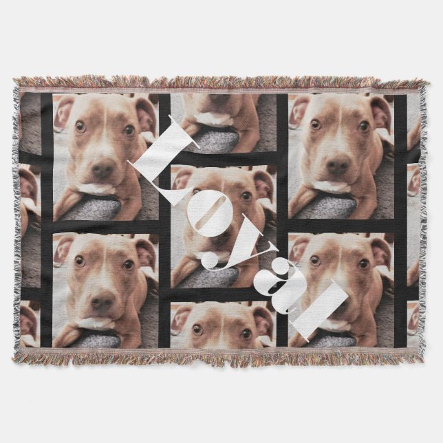 COUVERTURE LE LOYAL PIT BULL JETTE (Devant)