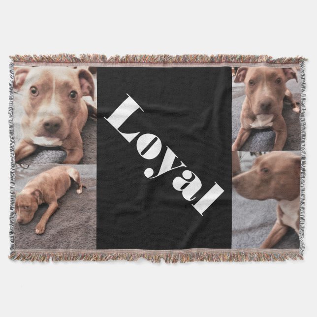 COUVERTURE LE LOYAL PIT BULL JETTE (Devant)