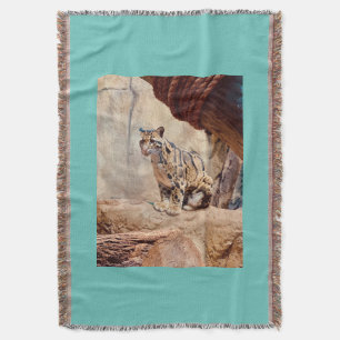 Couverture léopard nébuleux image nature faune exotique