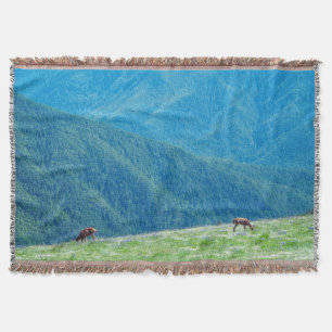 Couverture Les seaux au pied des montagnes