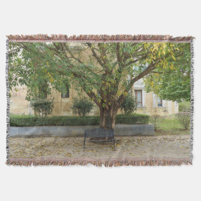 Couverture Li Garden Series: Echoes Beneath the Tree (Devant)