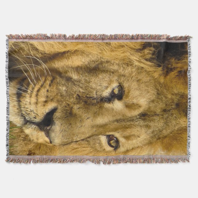 Couverture Lion Visage Tête Faune Chat Animal Jeu Blanche (Devant)