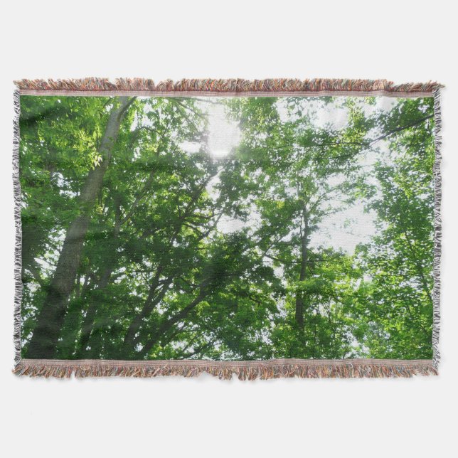 Couverture Looking Up to Summer Trees (Devant)