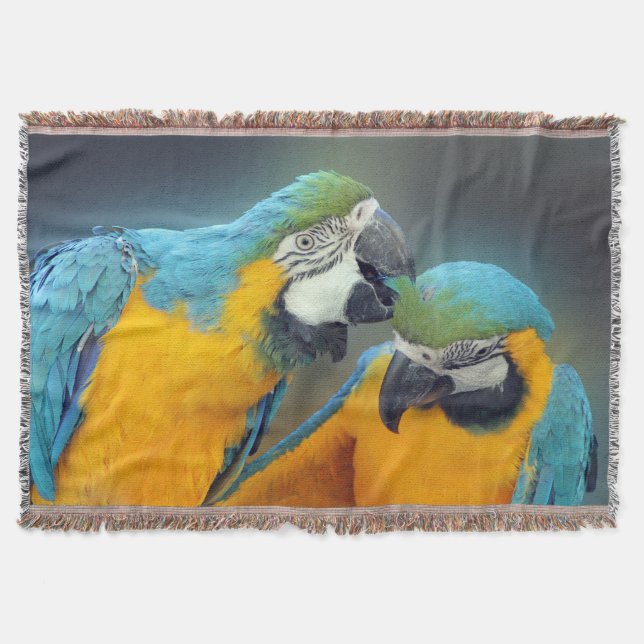 Couverture Macaws in love (Devant)
