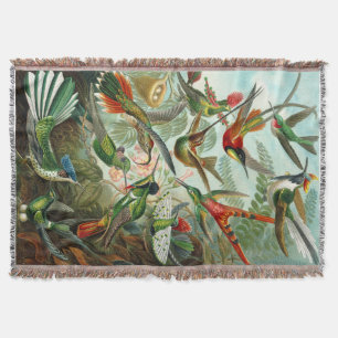 Couverture Magnifique Ernst Haeckel Hummingbirds