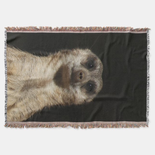 Couverture Meerkat 040 (Devant)