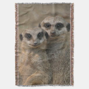 Couverture Meerkat 067