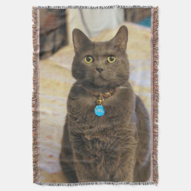 Couverture Mims (devant Vertical)