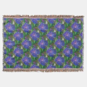 Couverture Morning Glory (Ipomoea Purpurea) Petals et Dew Dr.