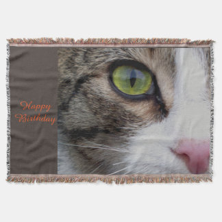 Couverture observée sauvage de jet de chat -