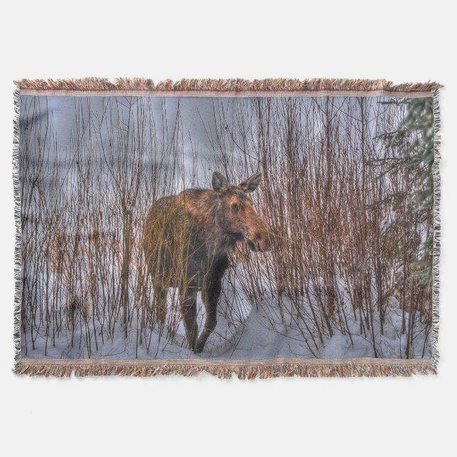 Couverture Oie canadienne sauvage en neige d'hiver I (Devant)