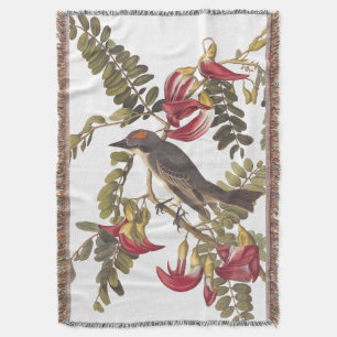 Couverture Oiseau Audubon du Roi gris sur arbre à fleurs