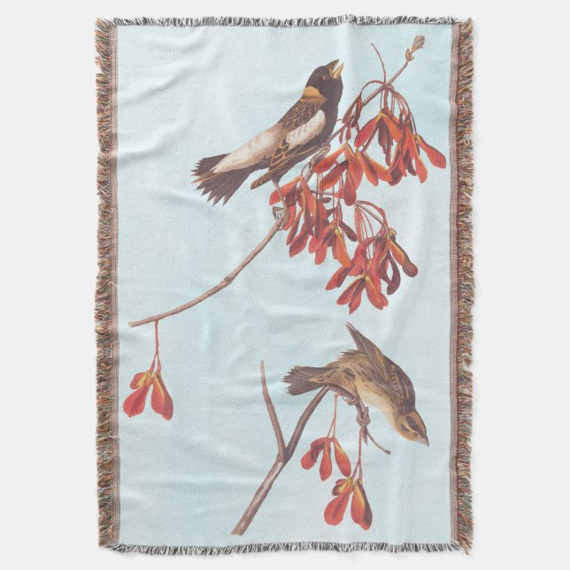 Couverture Oiseaux de brume de riz d'Audubon ou oiseaux Bobol (devant Vertical)