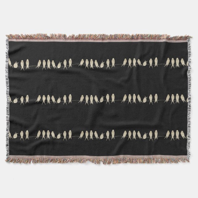 Couverture Oiseaux de musique (Devant)