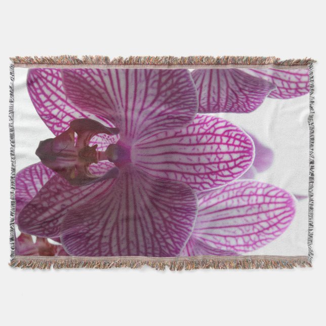 Couverture Orchid20160301 (Devant)