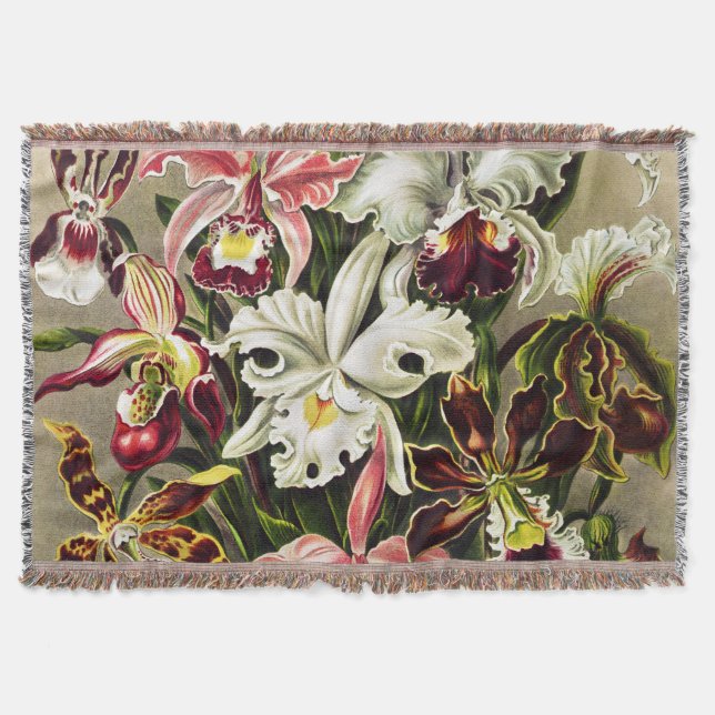 Couverture Orchidées, Orchidée Denusblumen Ernst Haeckel (Devant)