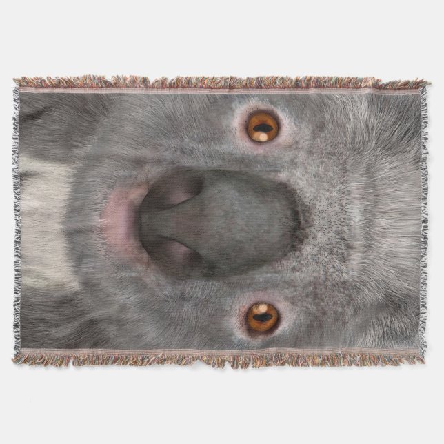 Couverture Ours koala (Devant)