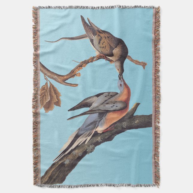 Couverture Paire Audubon de baiser des pigeons voyageurs (devant Vertical)
