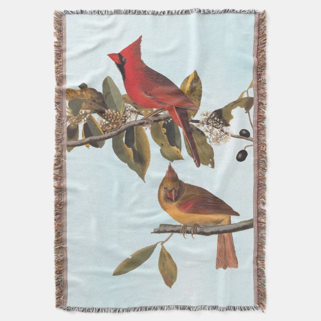 Couverture Paire cardinale Audubon en amandiers sauvages (devant Vertical)