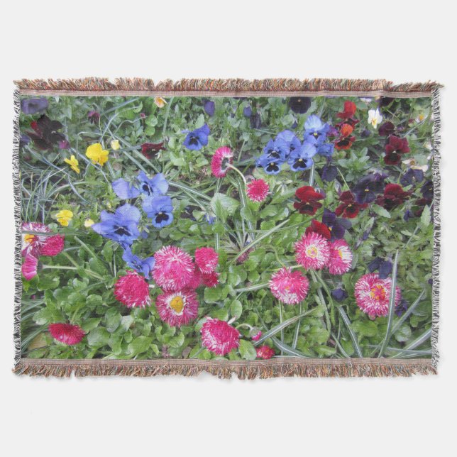 Couverture Pansies et marguerites (Devant)