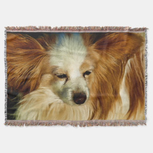 Couverture Papillon Beauté - race de chien