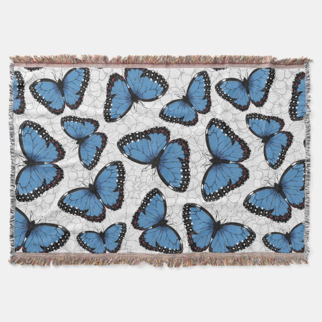 Couverture Papillons morpho bleu (Devant)
