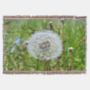 Couverture Parfaite Pissenlit – Photographie Macro Botanique