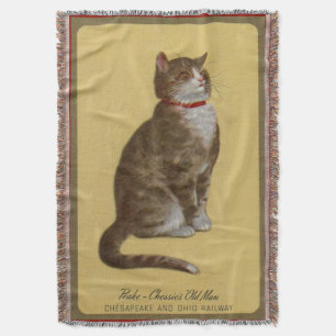 Couverture Peake, chat tigré de chat du vieil homme de