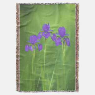 Couverture Peinture Iris Violet - Art Fleur Originale