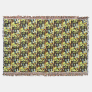 Couverture Phase de ChapeI Sixtine d'un ChaIIenge