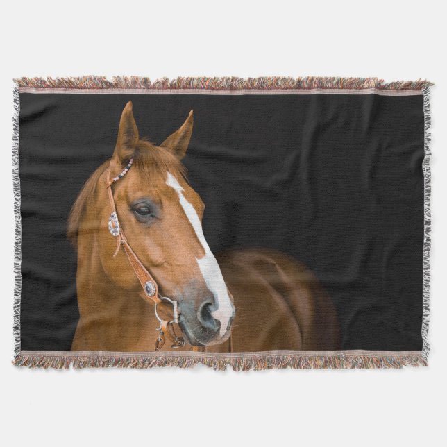 Couverture Photo Brown du quart-cheval (Devant)