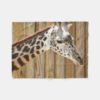 Couverture photo Giraffe