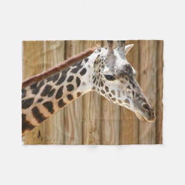 Couverture photo Giraffe (Devant (Horizontal))