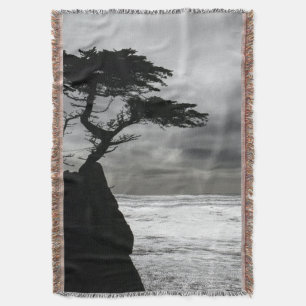 Couverture Photographie nature noir et blanc