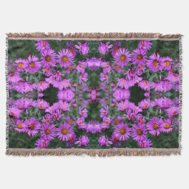 Couverture Pink Autumn Aster Flowers Abstrait (Devant)