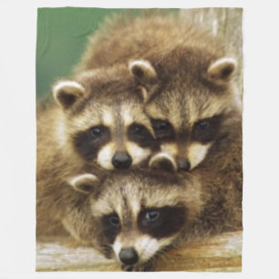 COUVERTURE POLAIRE 3 PETITS RATONS LAVEURS