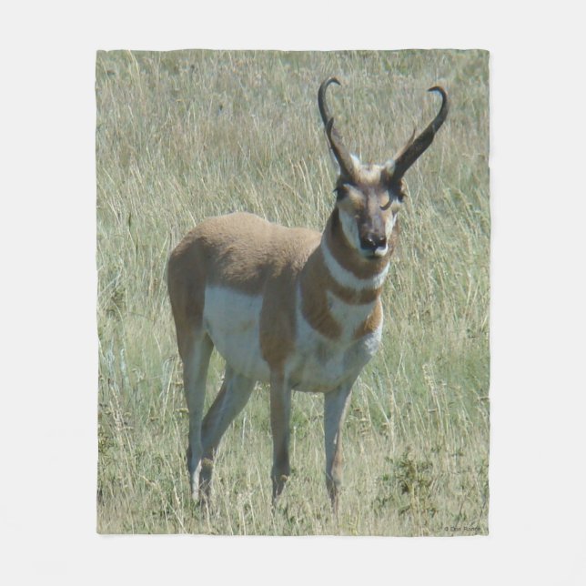 Couverture Polaire A13 Pronghorn Antelope Buck (Devant)