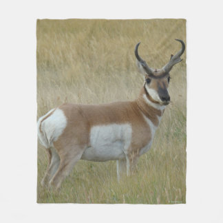 Couverture Polaire A1 Pronghorn Antelope Big Buck