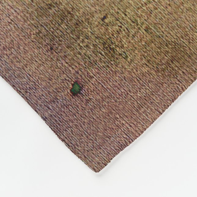 Couverture Polaire À travers un verre sombre (Coin)