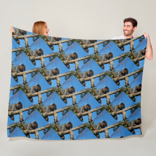 Couverture Polaire Alert Wild Koala Assis Dans Un Arbre,