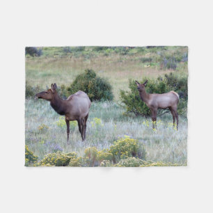 Couverture Polaire American Elk   Colorado