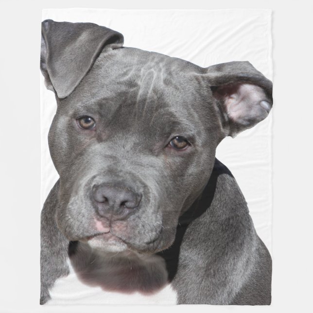 Couverture Polaire American Pit Bull Terrier (Devant)