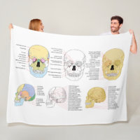 Anatomie humaine Le crâne humain illustré couvertu