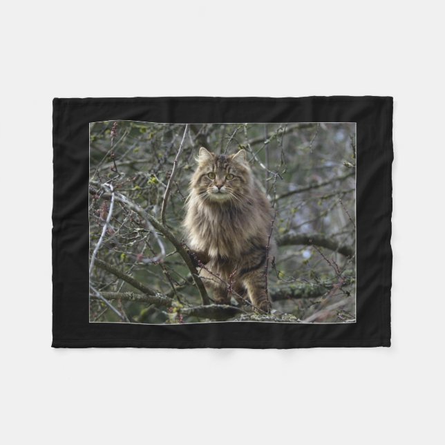 Couverture Polaire Animal de chat du Maine Coon (Devant (Horizontal))